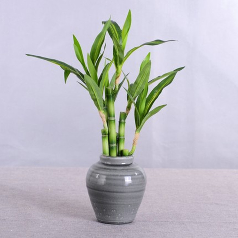New 40cm rFtificial Lucky Bamb - Desk Setup Green のレビューと価格