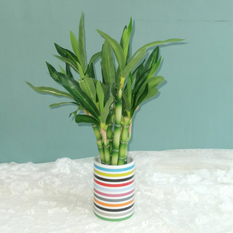 New 40cm rFtificial Lucky Bamb - Desk Setup Green のレビューと価格