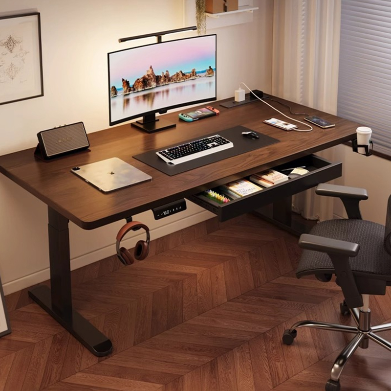 Modern Iron Dual Motor Electri - Setup Desk Monitor のレビューと価格