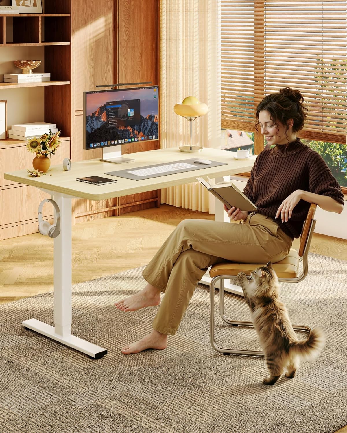 Electric Height Adjustable Sta - Setup Desk Monitor のレビューと価格